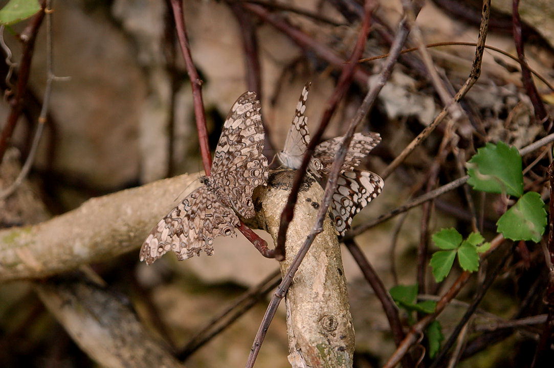 Foto de Xcaret, México