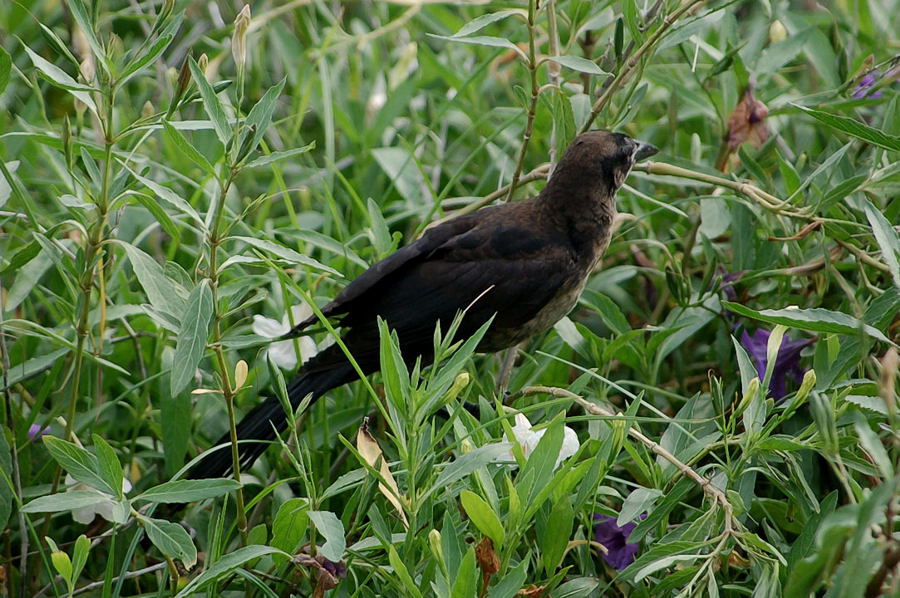 Foto de Xcaret, México