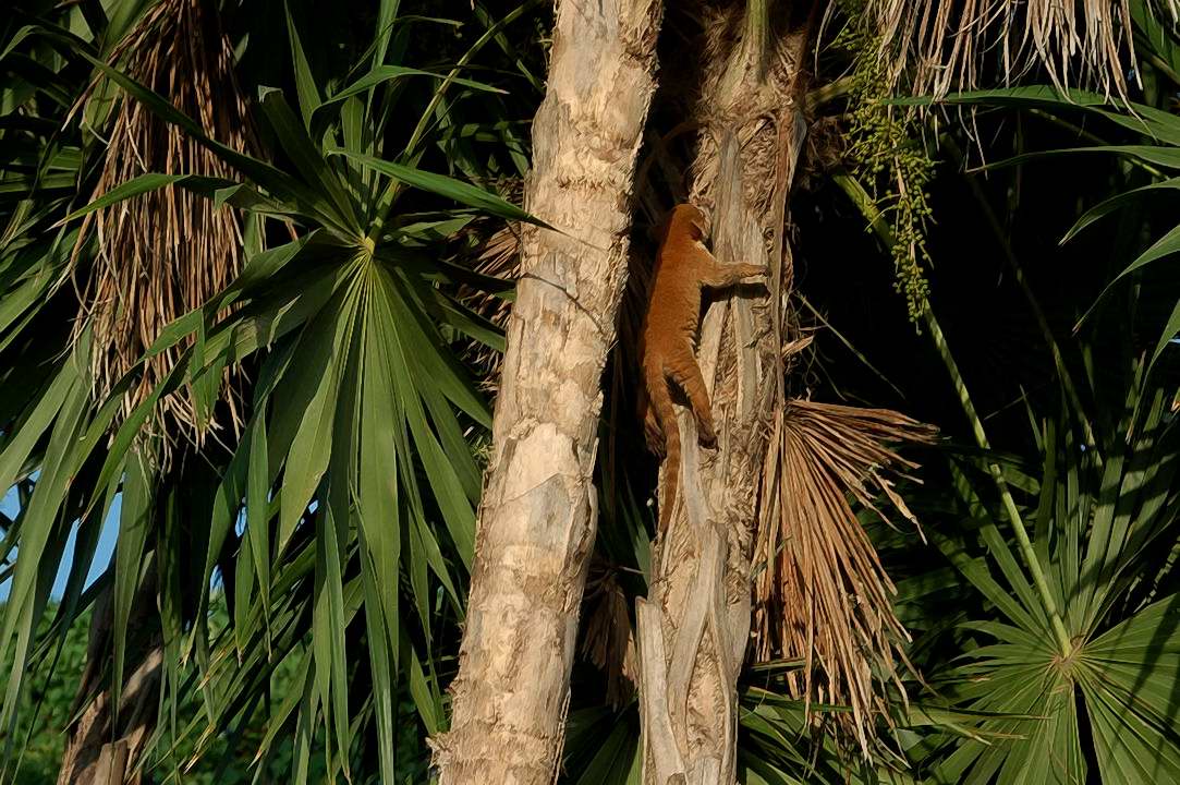 Foto de Xcaret, México