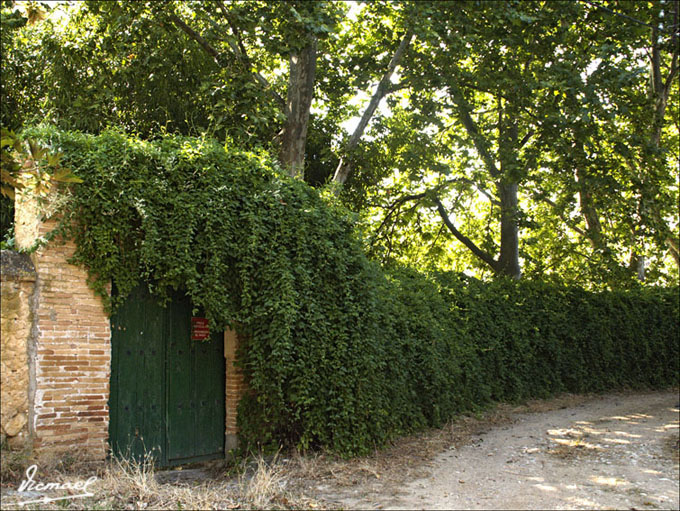 Foto de Embid de Ariza (Zaragoza), España