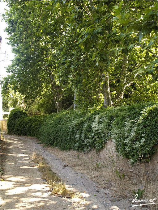 Foto de Embid de Ariza (Zaragoza), España