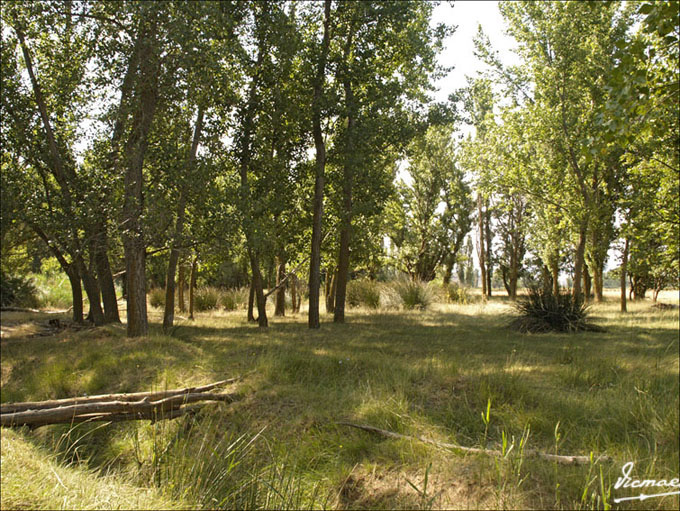 Foto de Embid de Ariza (Zaragoza), España