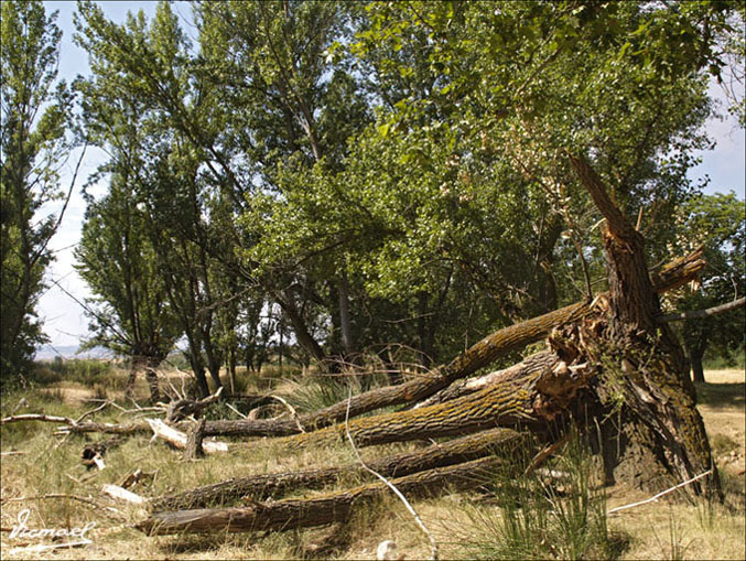 Foto de Embid de Ariza (Zaragoza), España