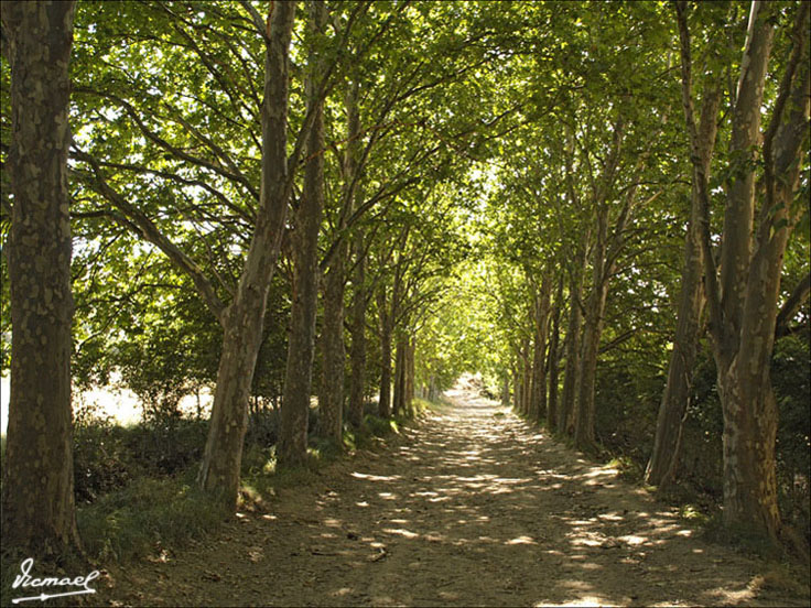 Foto de Embid de Ariza (Zaragoza), España