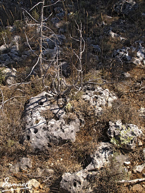 Foto de Mochales (Guadalajara), España
