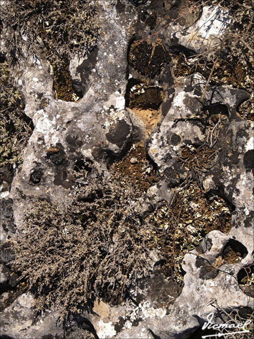 Foto de Mochales (Guadalajara), España