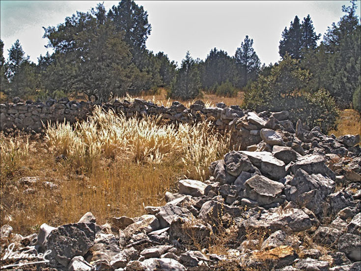 Foto de Mochales (Guadalajara), España