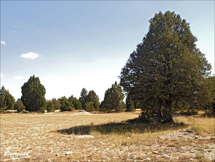 Foto de Mochales (Guadalajara), España