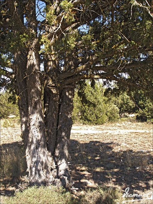 Foto de Mochales (Guadalajara), España