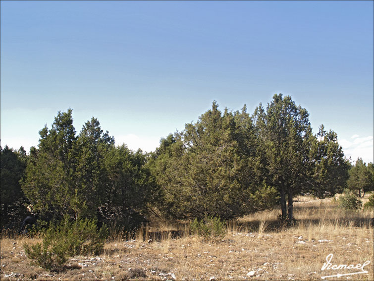 Foto de Mochales (Guadalajara), España