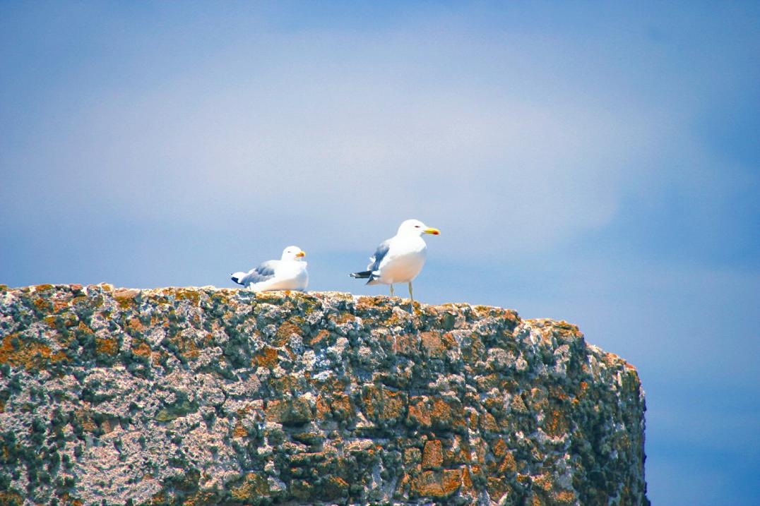 Foto de Tossa de Mar (Girona), España