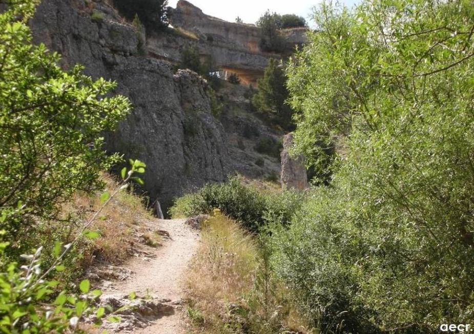 Foto de Ucero (Soria), España
