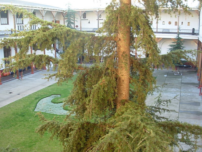 Foto de Valparaiso, Chile