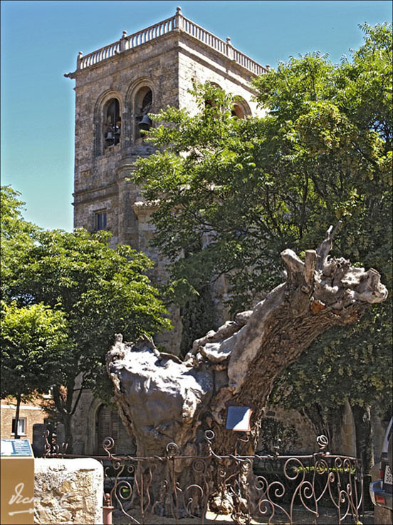 Foto de Soria (Castilla y León), España