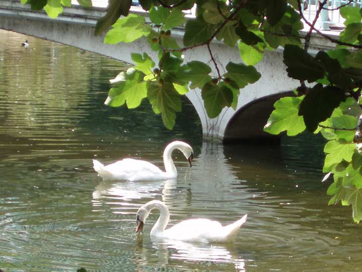 Foto de Londres, El Reino Unido