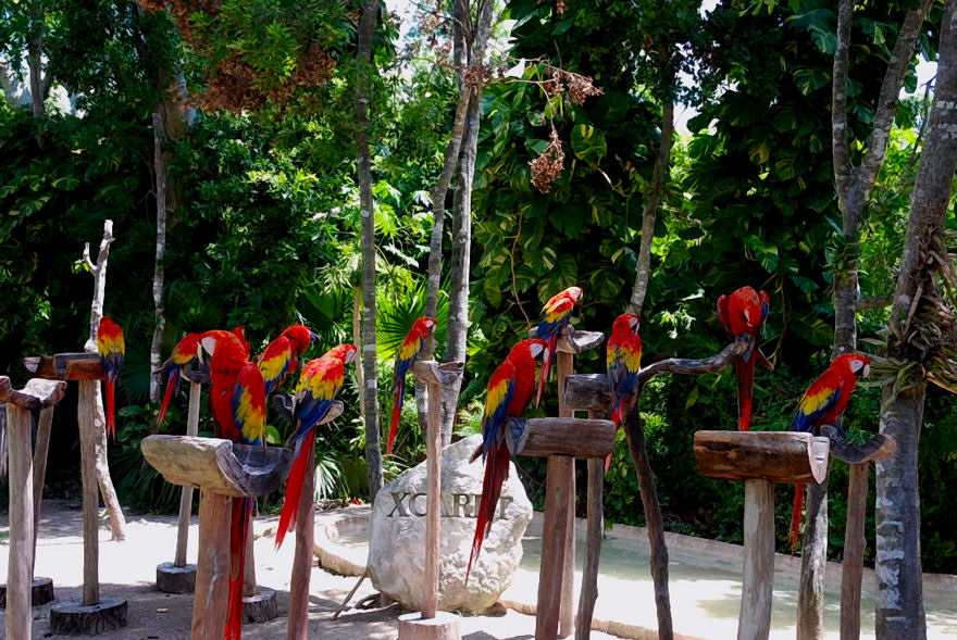 Foto de Xcaret, México