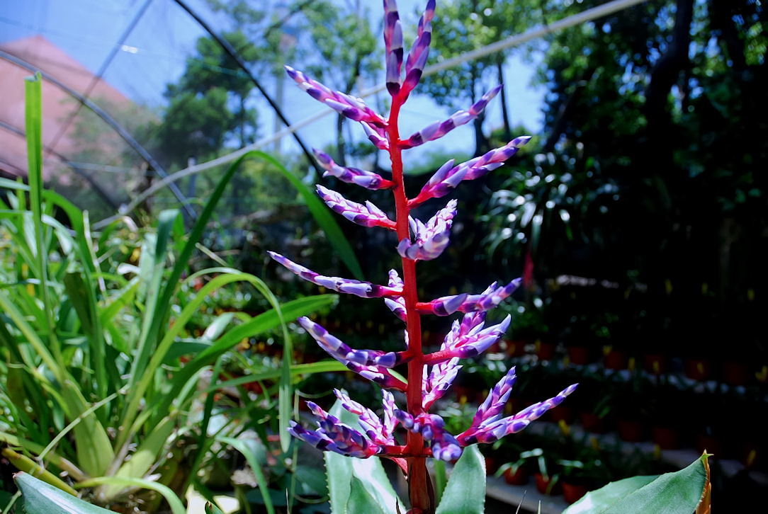 Foto de Xcaret, México