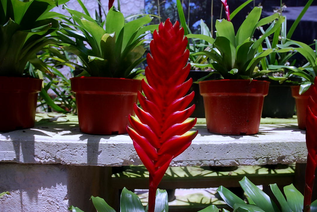 Foto de Xcaret, México