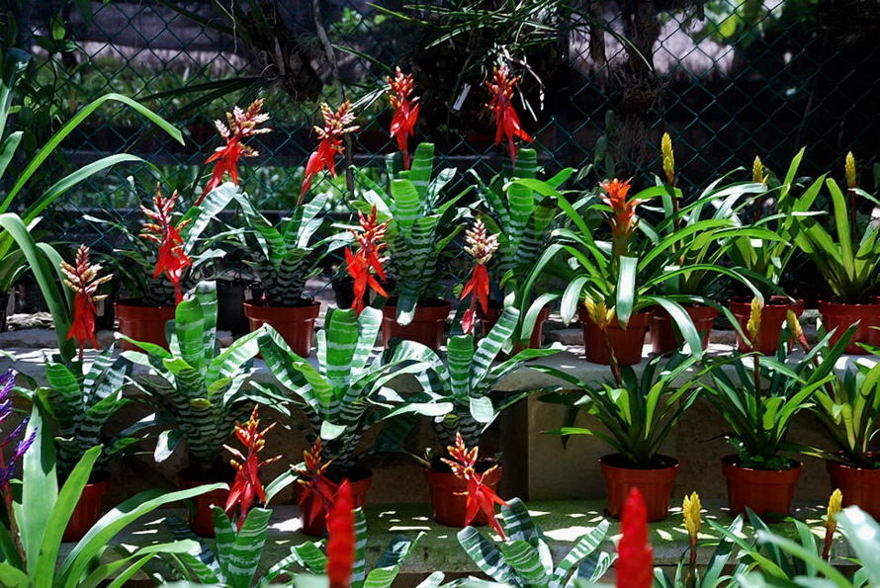 Foto de Xcaret, México