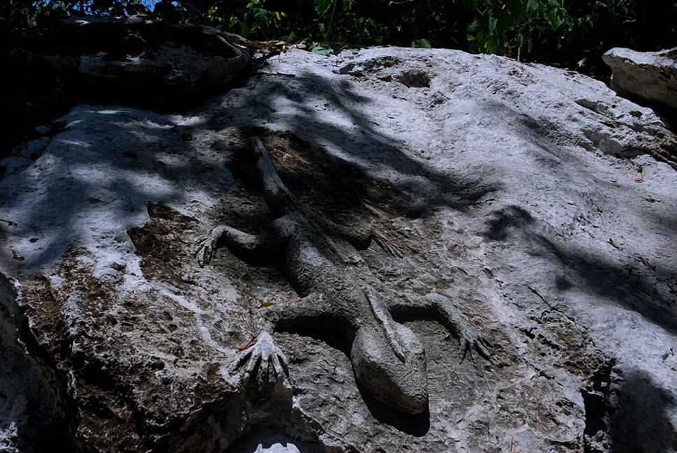 Foto de Xcaret, México