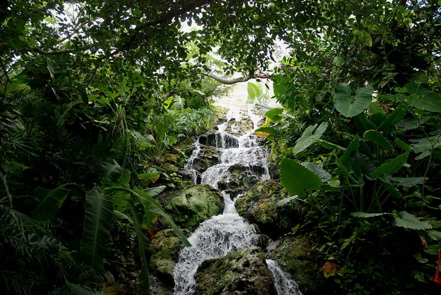 Foto de Xcaret, México