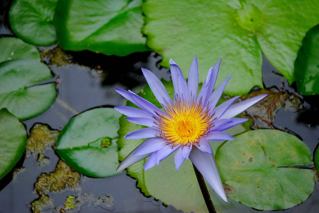 Foto de Xcaret, México