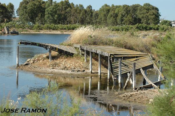 Foto de Puerto Real (Cádiz), España