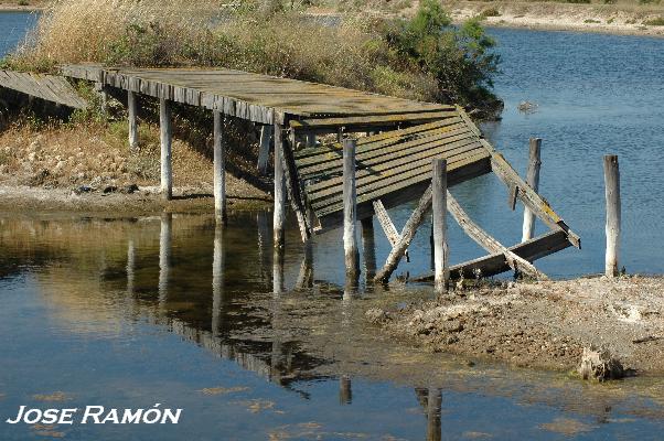 Foto de Puerto Real (Cádiz), España