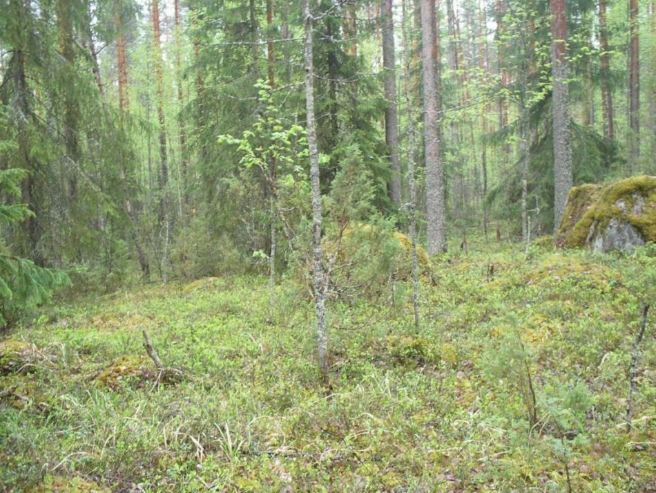 Foto de Leivonmaki, Finlandia