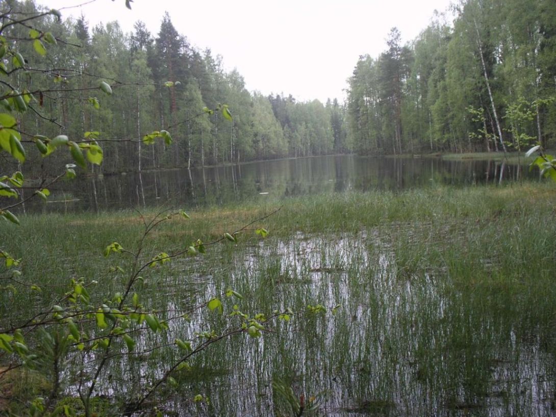 Foto de Leivonmaki, Finlandia