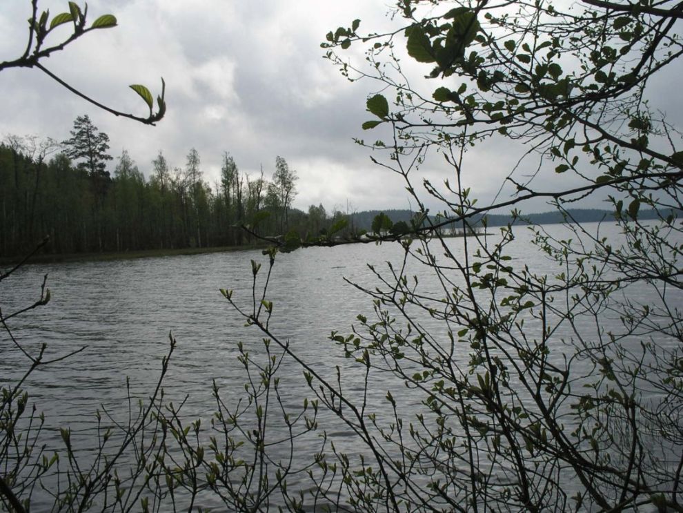 Foto de Leivonmaki, Finlandia