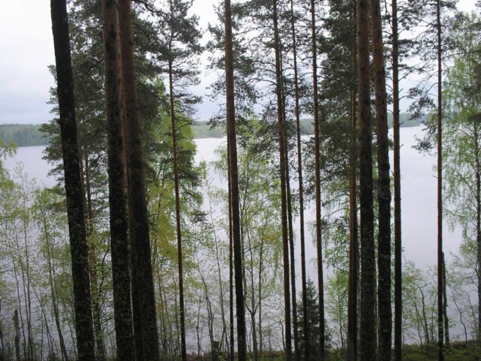 Foto de Leivonmaki, Finlandia