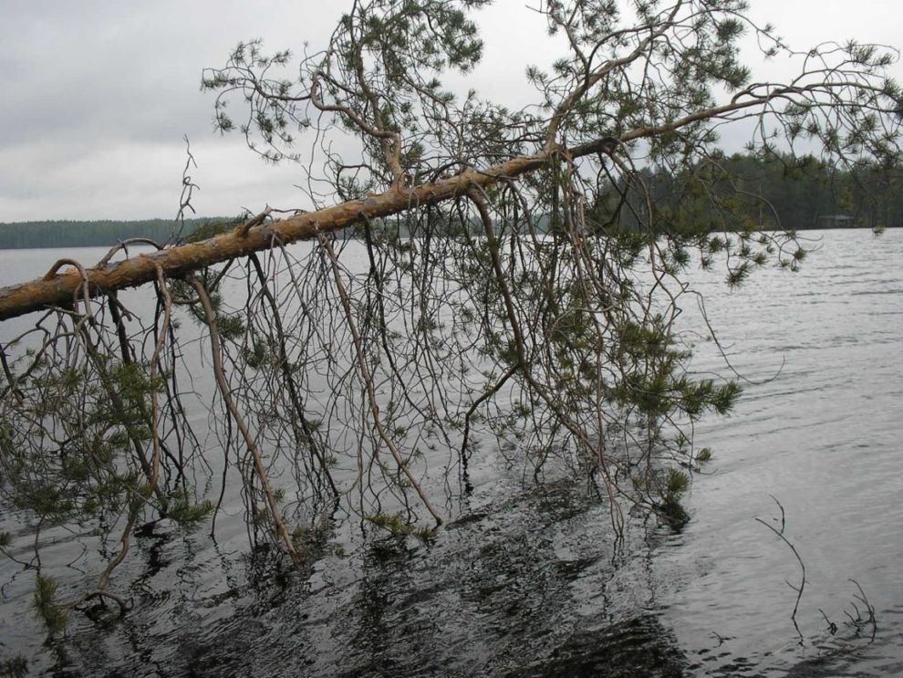 Foto de Leivonmaki, Finlandia