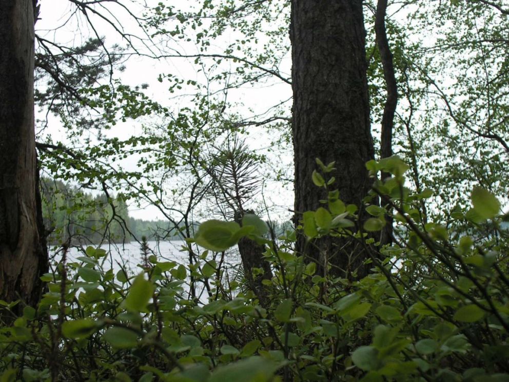 Foto de Leivonmaki, Finlandia