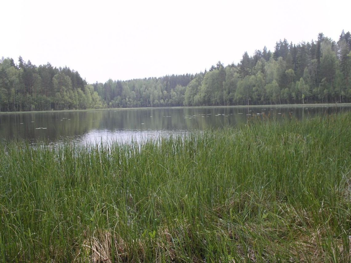 Foto de Leivonmaki, Finlandia