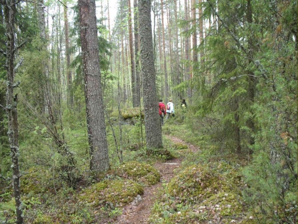 Foto de Leivonmaki, Finlandia