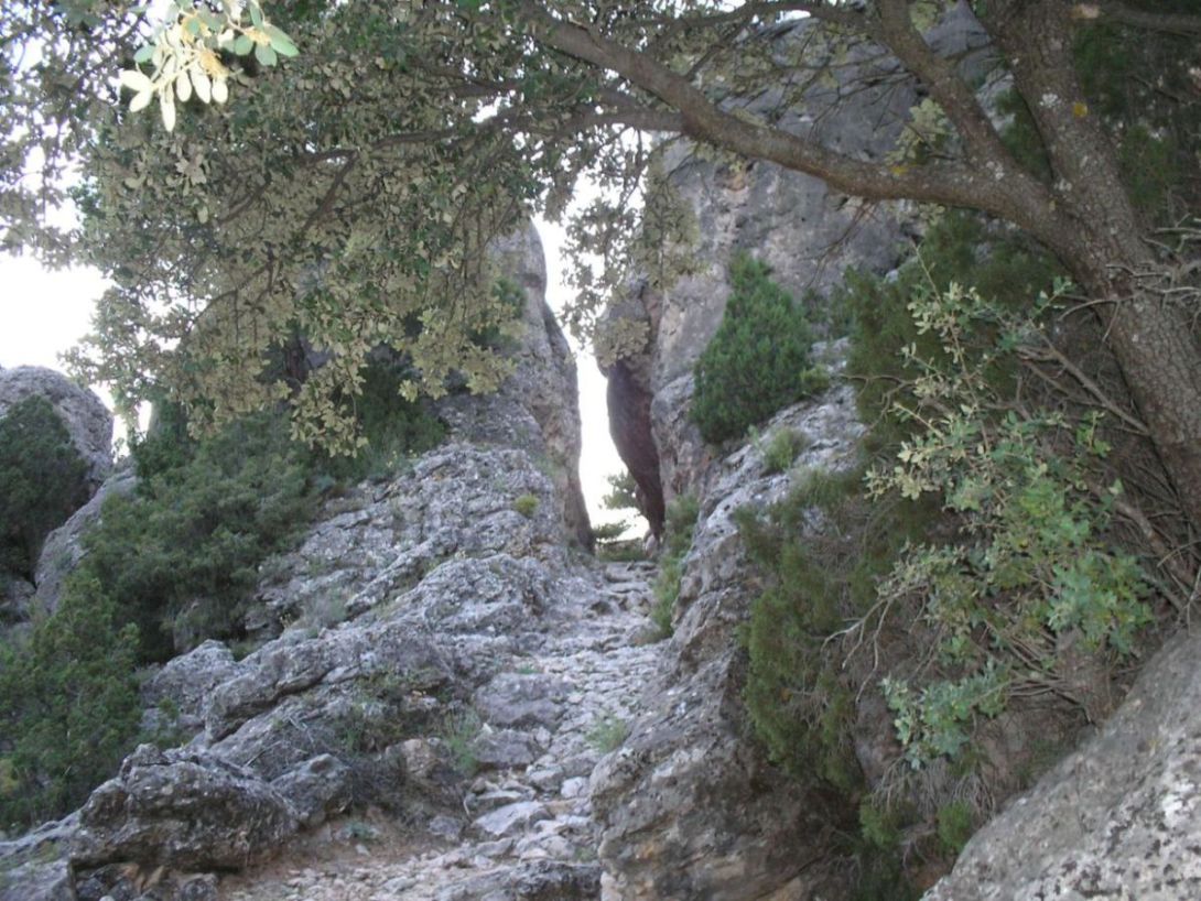 Foto de Portilla (Cuenca), España