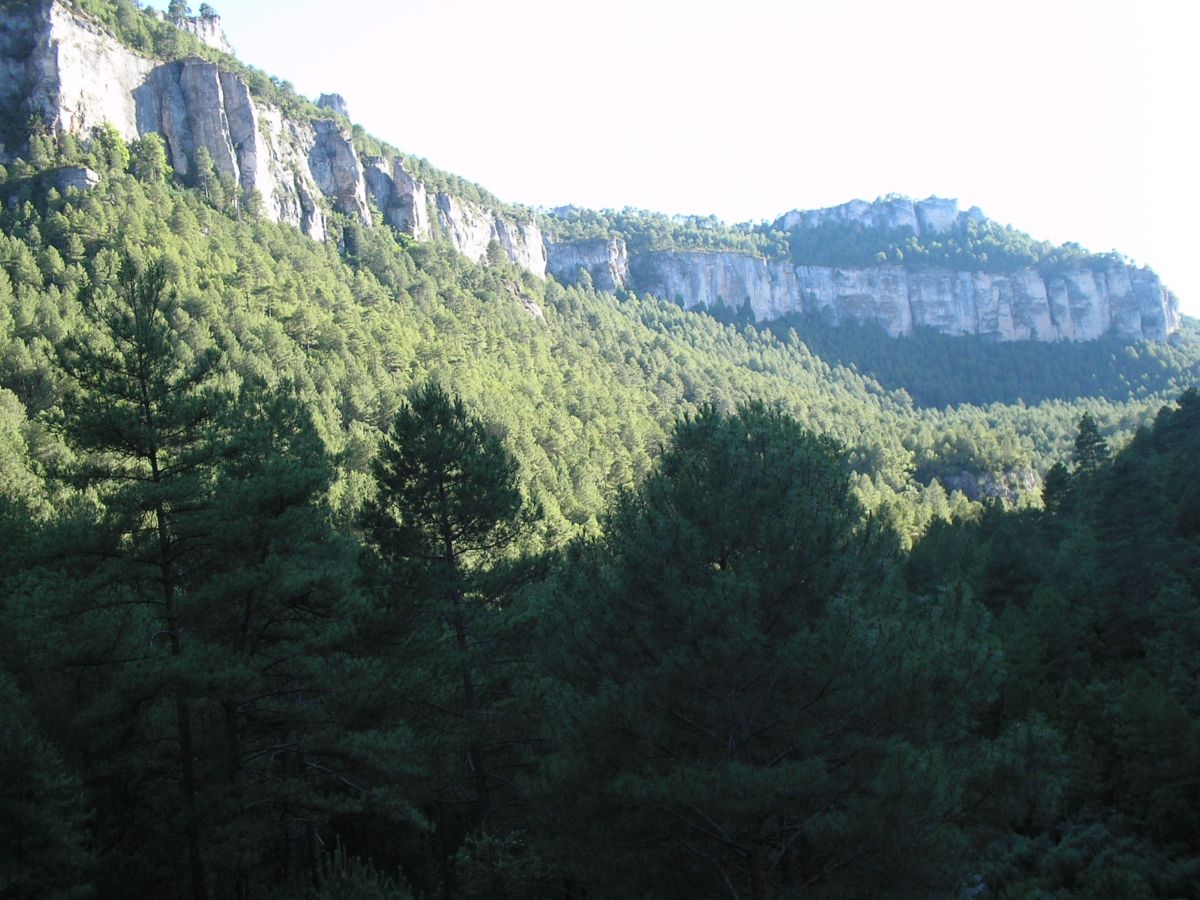 Foto de Vadillos (Cuenca), España