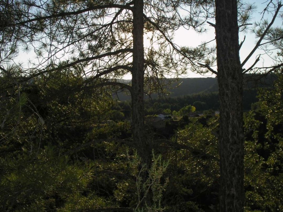 Foto de Vadillos (Cuenca), España