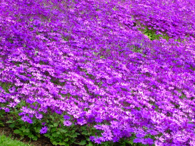 Foto de Barcelona (Cataluña), España