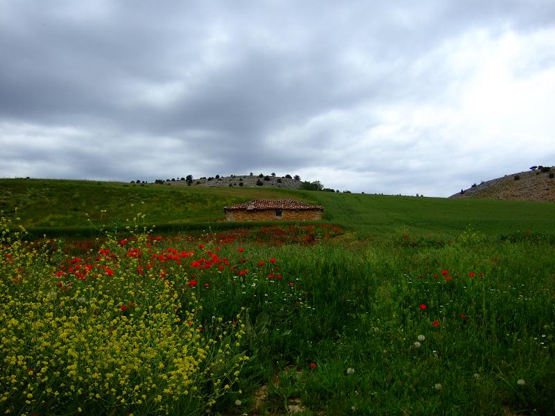 Foto de Calatañazor (Soria), España