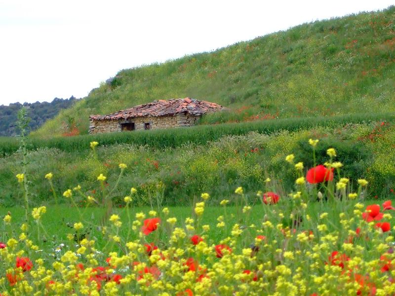 Foto de Calatañazor (Soria), España