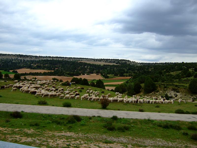 Foto de Calatañazor (Soria), España