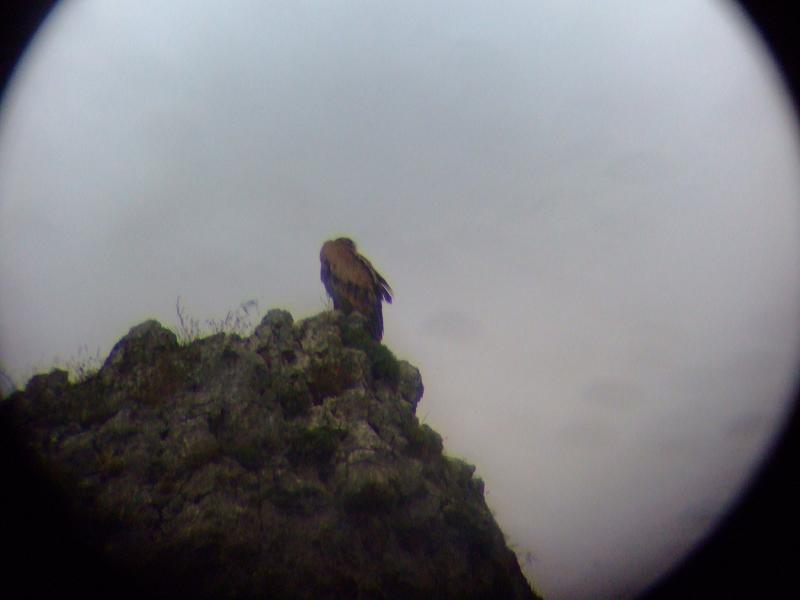 Foto de Calatañazor (Soria), España