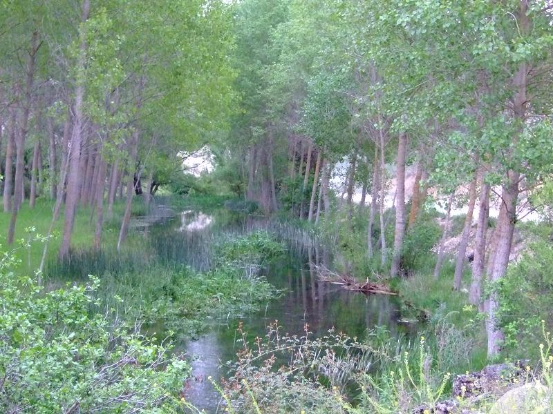 Foto de Calatañazor (Soria), España