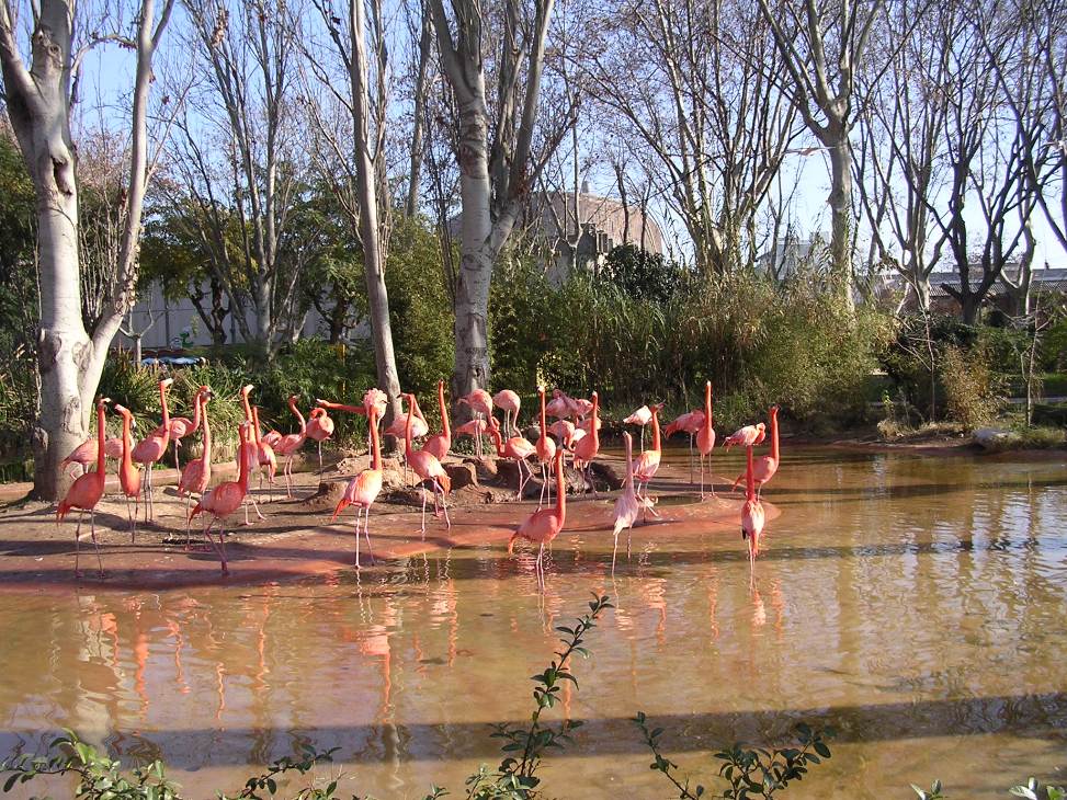 Foto de Barcelona (Cataluña), España
