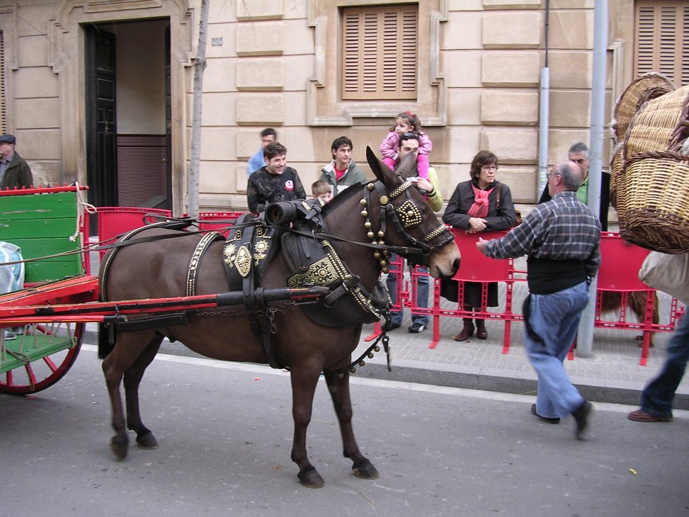 Foto de Sant Feliu de Llobregat (Barcelona), España