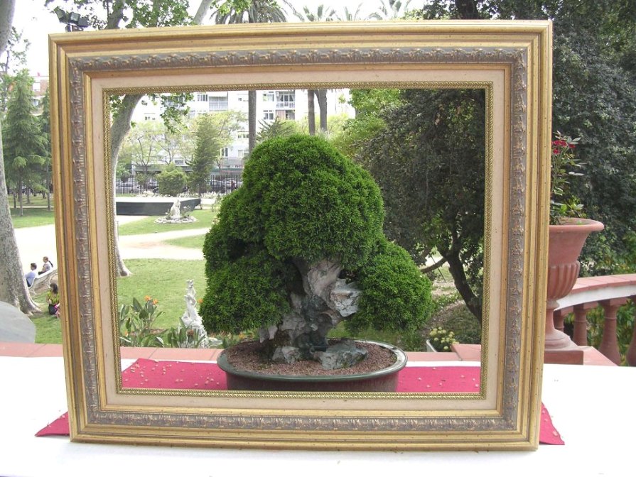 Foto de Barcelona (Cataluña), España