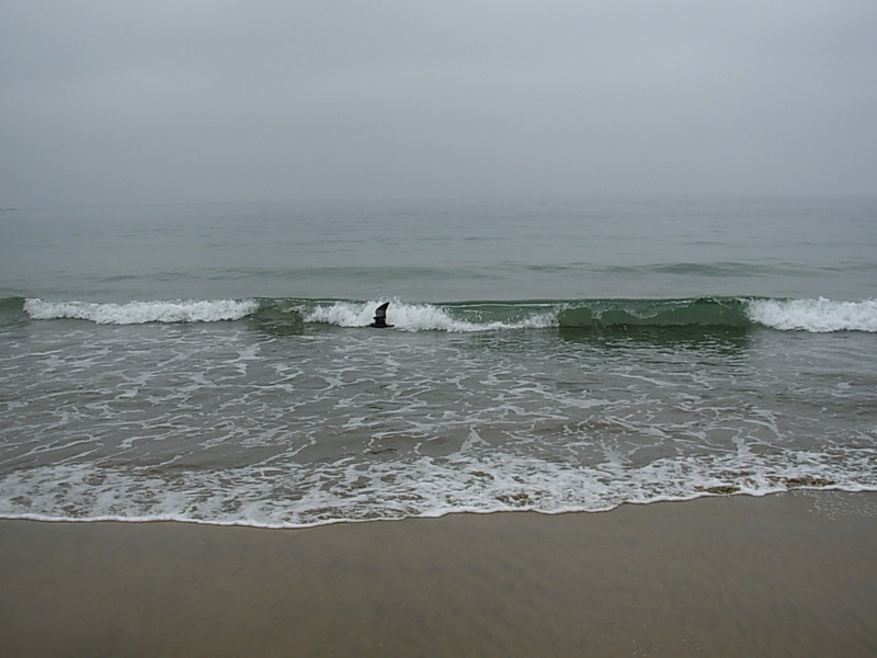 Foto de Papudo, Chile