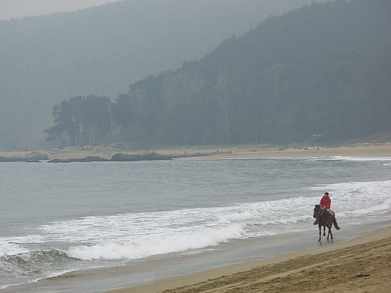 Foto de Papudo, Chile